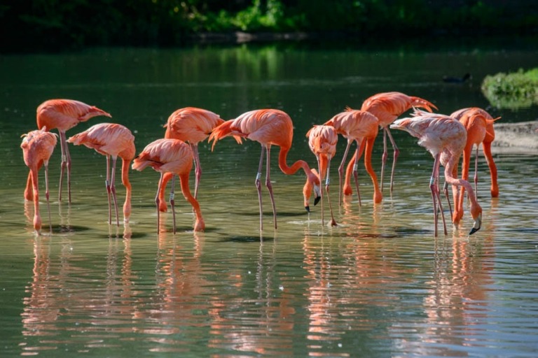 slimbridge-5BOMN2